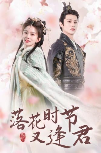 落花时节又逢君短剧 61-80集(大结局)